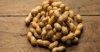Peanut