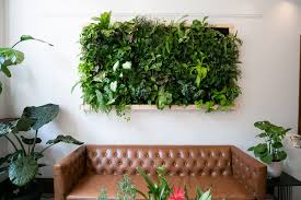 Wall