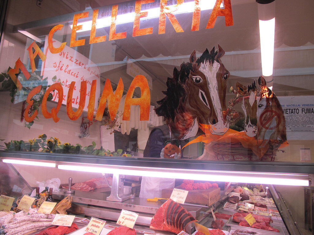 Horse Meat