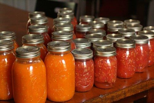 Canning Tomatoes
