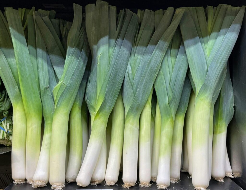 Free stock photo of close up photos, cooking ingredients, farm fresh