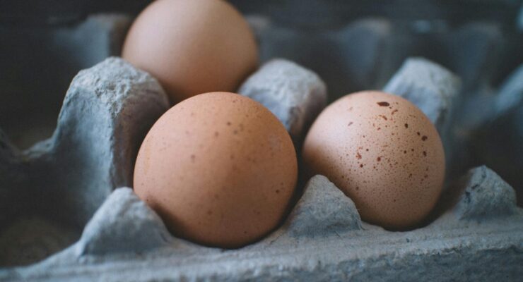 Three fresh brown eggs in a cardboard egg tray, highlighting organic food concepts.