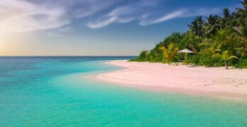 beach, paradise, island, palm trees, ocean, romantic, sunset, seascape, sea, summer, bathing, holiday, sandy beach, nature, vacations