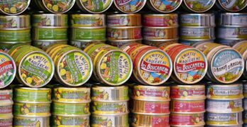 canned goods, cans, canned food, finished products, meal, tin can, fish, can, shelf, nature, food, supermarket, sardines, potted, rifle, packaging