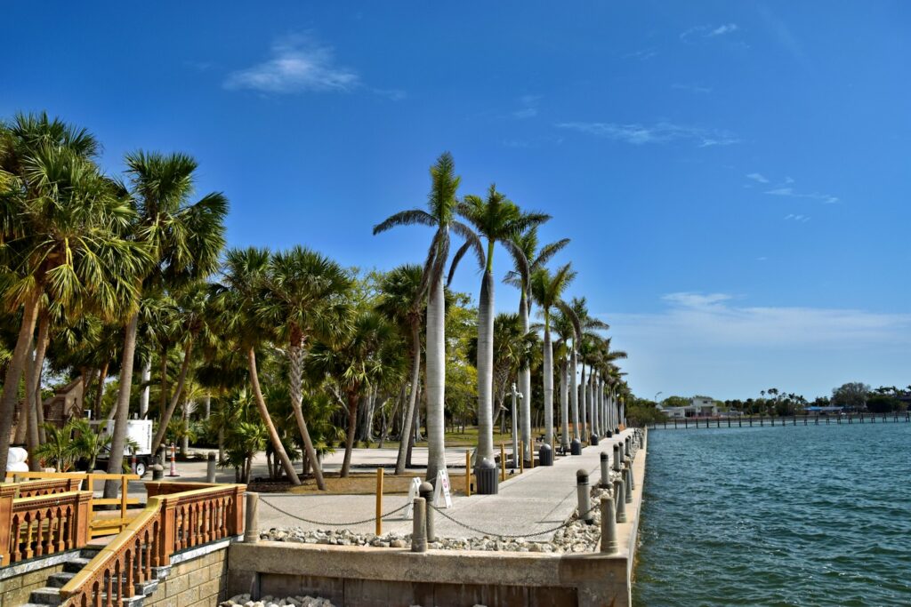 Palm trees line a waterfront walkway on a sunny day.