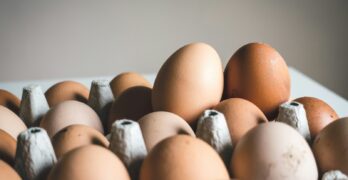 shallow focus photography of brown eggs