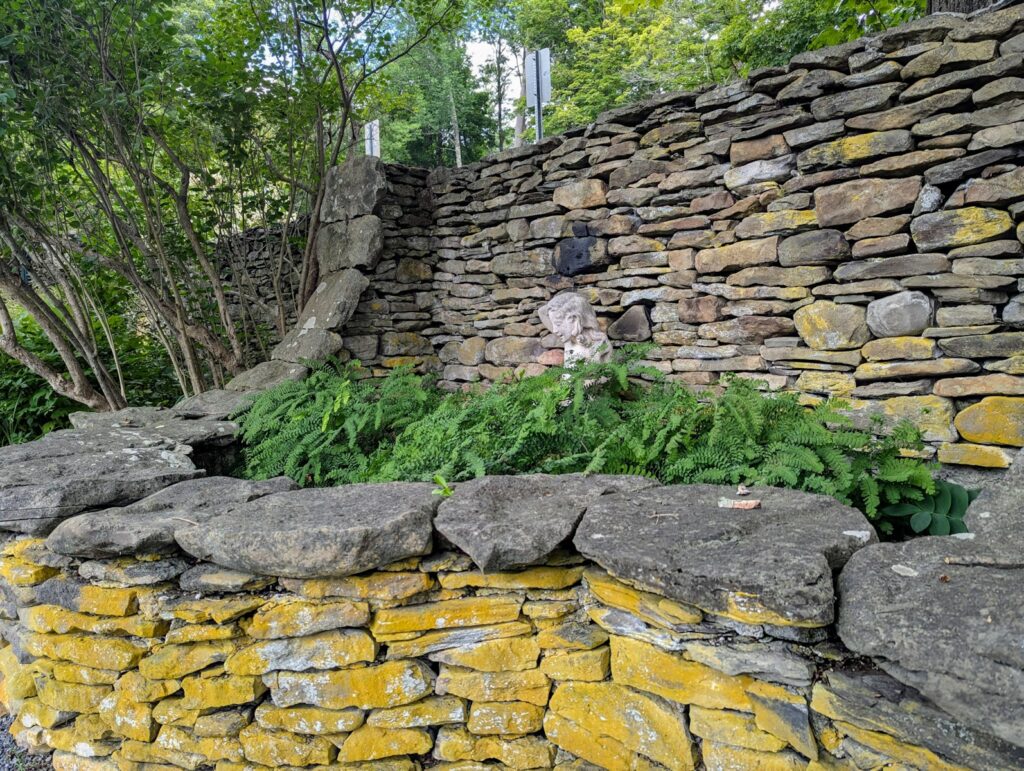 A stone wall with a bunch of plants growing out of it